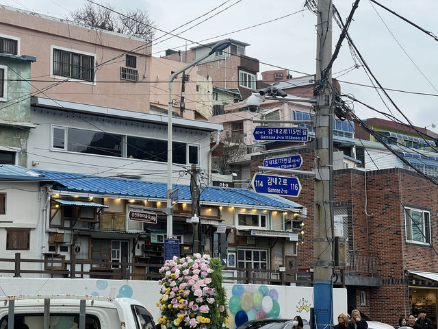 韓國釜山景點|甘川洞文化村，彩色房子造景太美了~