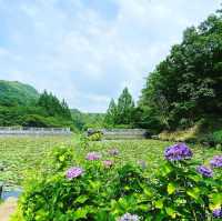 みのかも健康の森