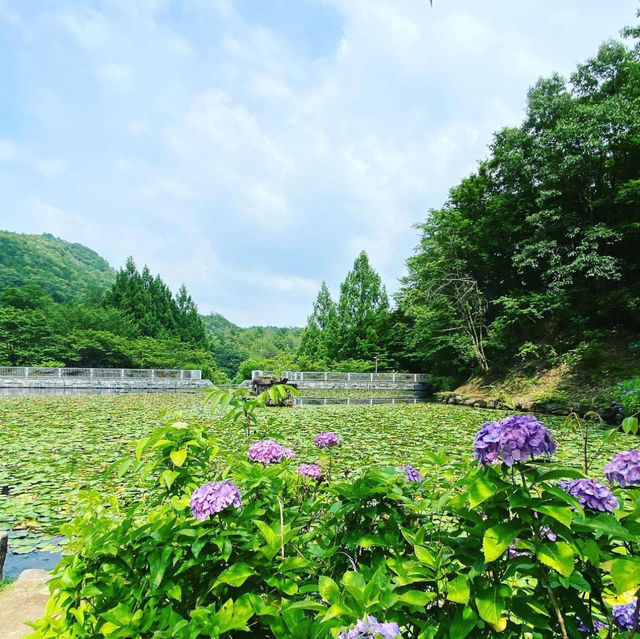みのかも健康の森
