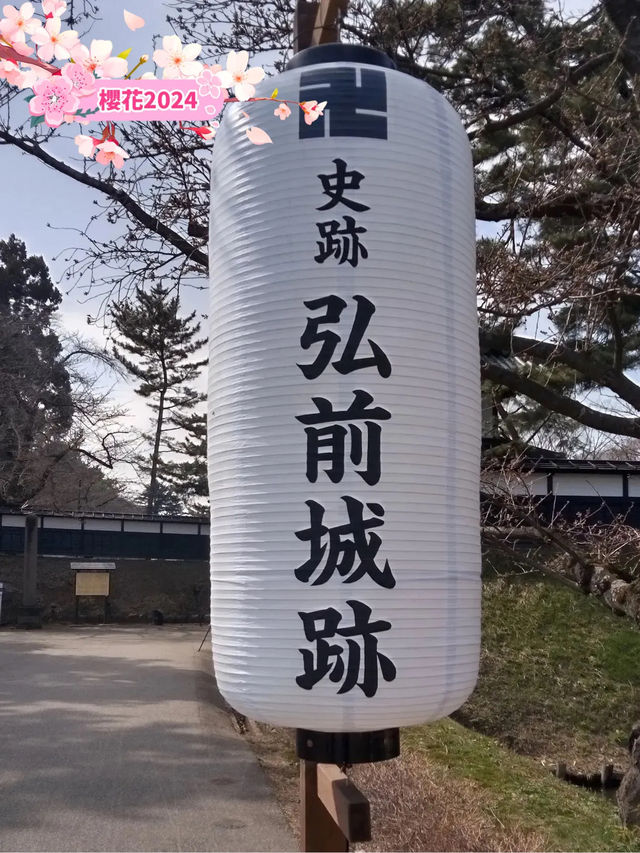 🌸弘前公園：春季賞櫻，美不勝收🌸