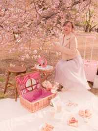 おしゃピクするならレンタルで行こ🧺🌸