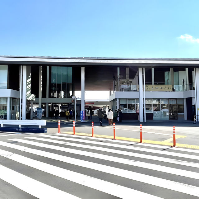 【JR西日本宮島フェリー/広島県】海から弥山と大鳥居を望むフェリー