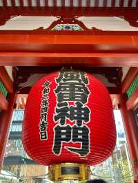 東京　東京観光　やっぱり浅草寺は外せない！2024桜の浅草寺