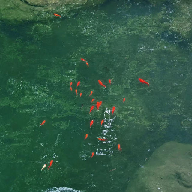 西沙明珠湖景區～秀麗湖泊與山巒