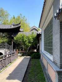 🏯푸릇푸릇 꼭 가야할 봄여행! 수원 도심 한복판의 월화원