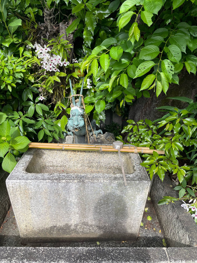 【京都府】日本唯一の交通安全の神様が祀られている神社！