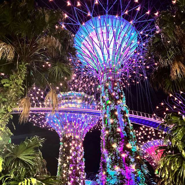 外星人基地： Gardens By the Bay 