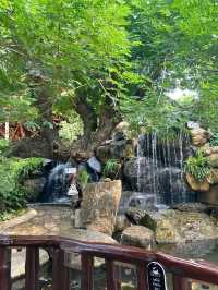The Gardener Cafe คาเฟ่สไตล์ธรรมชาติ