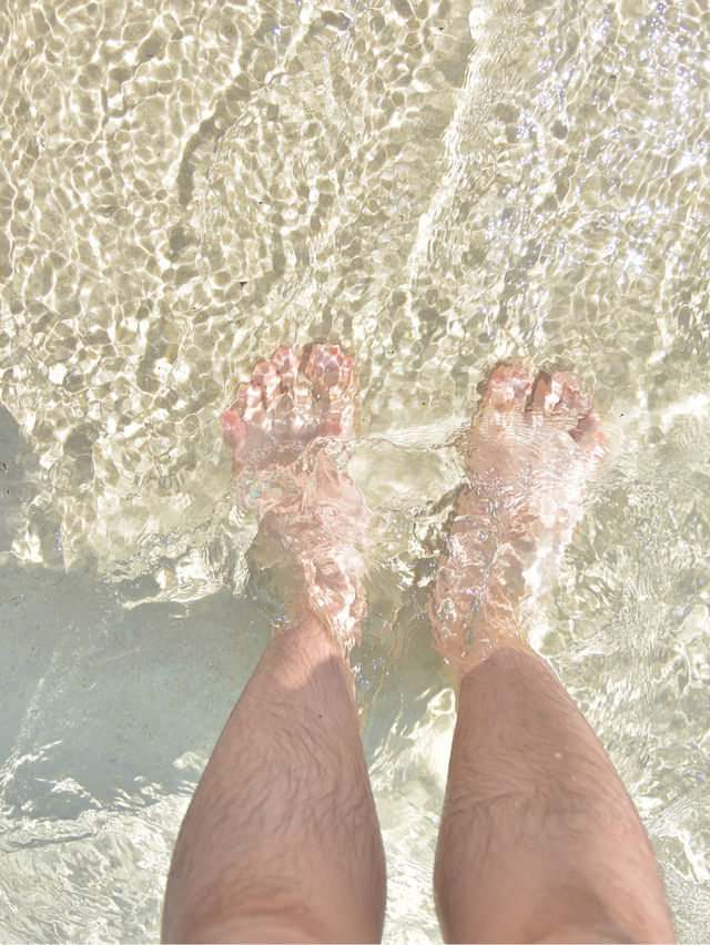 南紀白浜日帰り旅行！過去最高の満足度