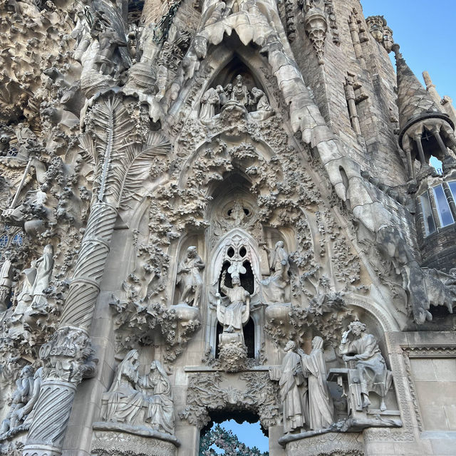 Sagrada Família – “The Forest and the Symphony of Light Within the Basilica”