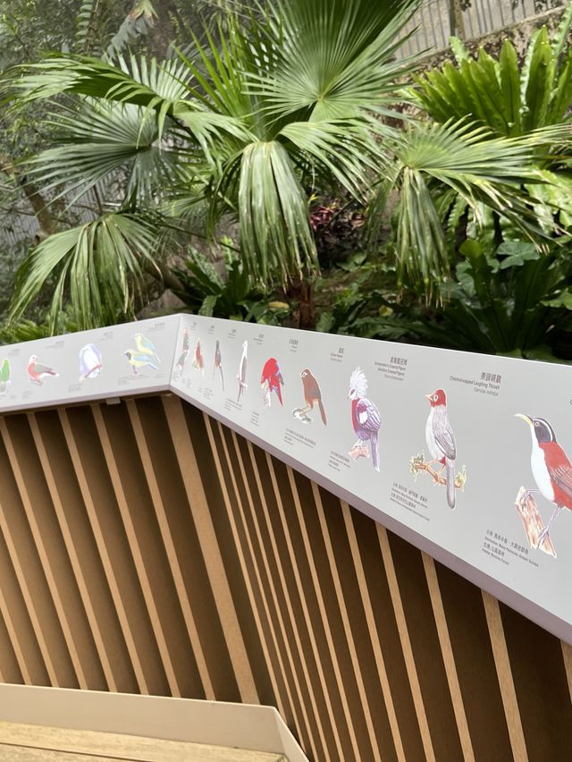 🌟春日探訪香港綠洲:尤德觀鳥園🌿 🌟春日探訪香港綠洲:尤德觀鳥園🌿