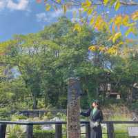 【大分】鉄板観光！地獄巡り！