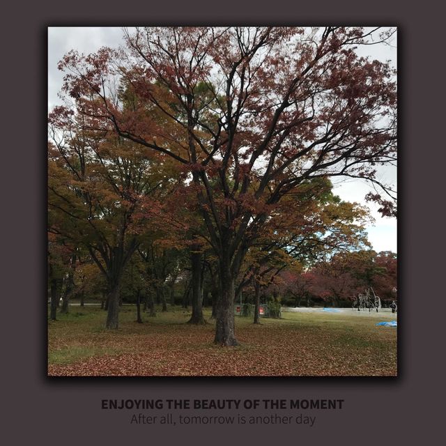 秋季特別限期展🍂大阪城櫓