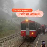 อุทยานแห่งชาติอาลีซาน นั่งรถไฟชมวิวป่าสนพันปี