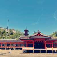 Magical Miyajima Island