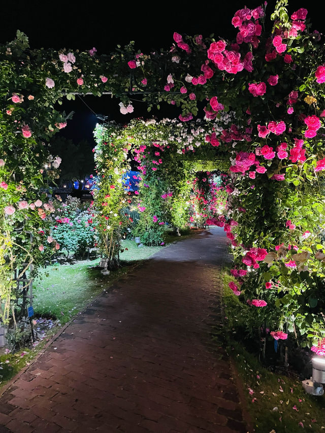 【長崎県】夜のライトアップが美しいハウステンボス
