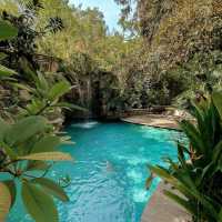 Paradise Found at Sofitel Singapore Sentosa