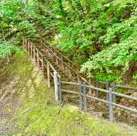 Nature's Haven in Asahikawa