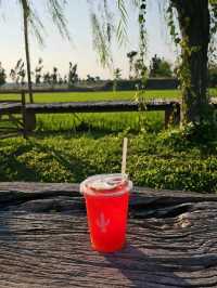 คาเฟ่ร้านแคนตัส นนทบุรี