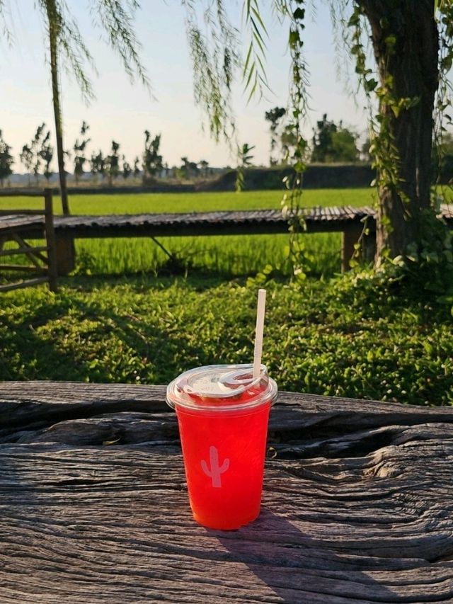 คาเฟ่ร้านแคนตัส นนทบุรี
