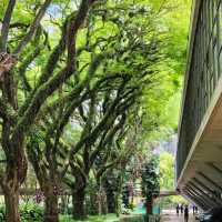 沃爾瑟姆斯托濕地公園：城市綠洲