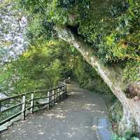 【高雄中央公園】休閒娛樂好去處