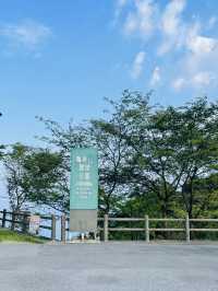 【愛媛県:しまなみ海道】標高307mの絶景スポット「亀老山展望公園」