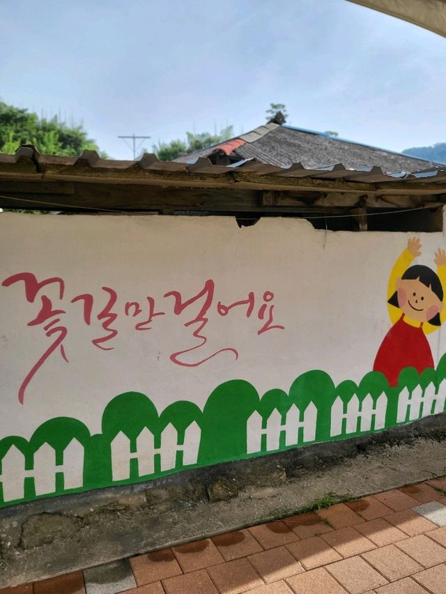 10만평 해바라기꽃밭이 펼쳐지는 강주마을