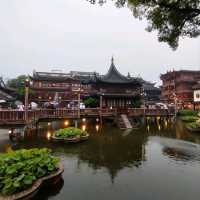 Shanghai Hilights