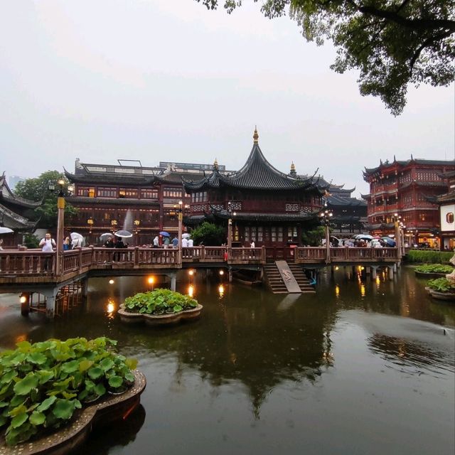 Shanghai Hilights