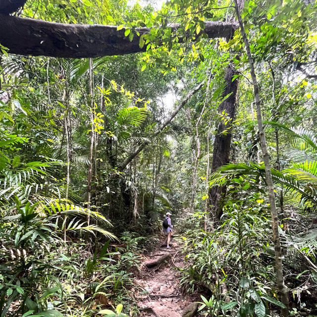 A tranquil escape into nature!