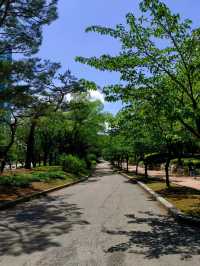[正能量旅遊] 汝矣島公園-首爾-城市悠閒散步地點