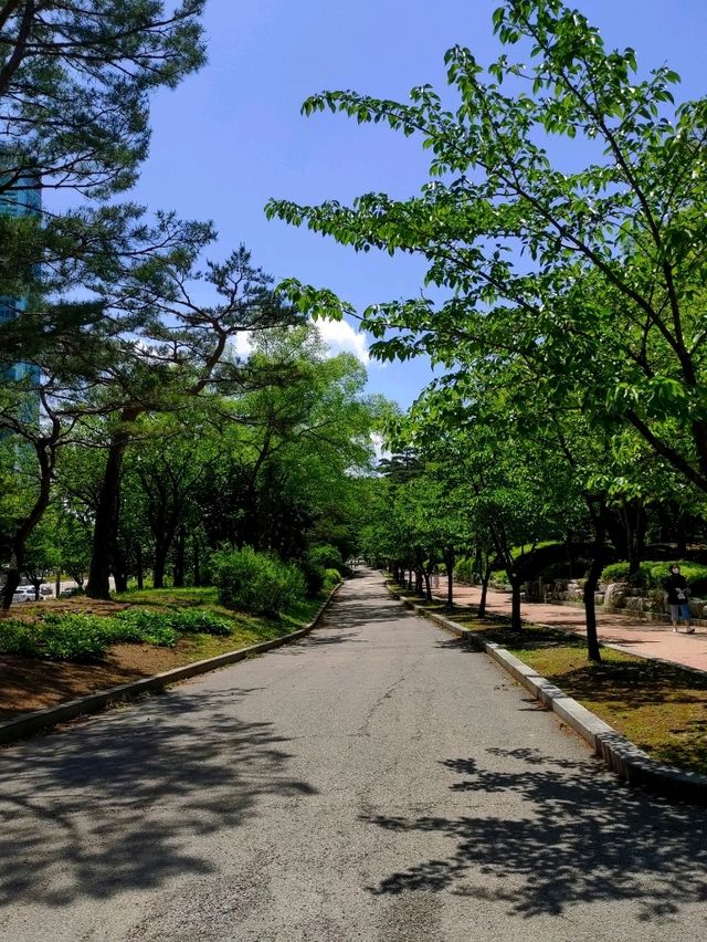 [正能量旅遊] 汝矣島公園-首爾-城市悠閒散步地點