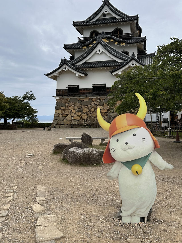 【滋賀観光】