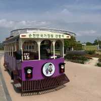 순천 반드시 가야할 곳! 순천만 국가정원!