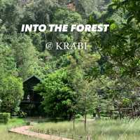 ร้าน Into the forest @Krabi