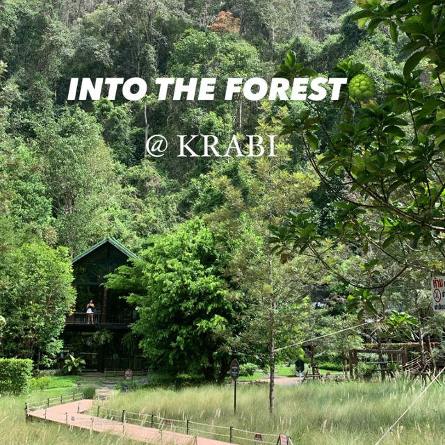 ร้าน Into the forest @Krabi