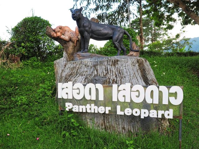 บ้านแก่นมะกรูด อุทัยธานี
