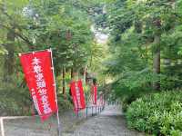 【京都】天橋立が龍のように見える絶景ビュースポット！