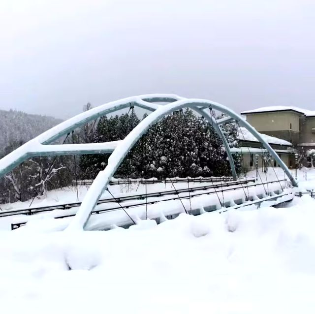 美瑛景點/冬季必訪夢幻絕美景色 #白鬚瀑布(白ひげの滝)