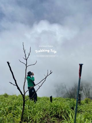 7 條新手也能輕鬆駕馭的登山路線 