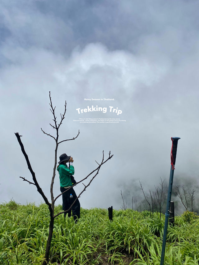 7 เส้นทางเดินป่าสำหรับมือใหม่ ⛰️🌦️🌳🥾