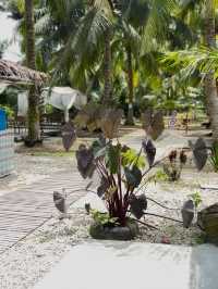 Ye Eco Garden, Sekinchan