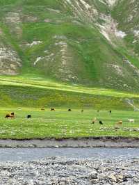 Truso Valley🇬🇪หมู่บ้านแห่งความฝัน