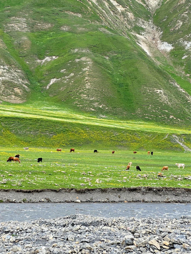 Truso Valley🇬🇪หมู่บ้านแห่งความฝัน