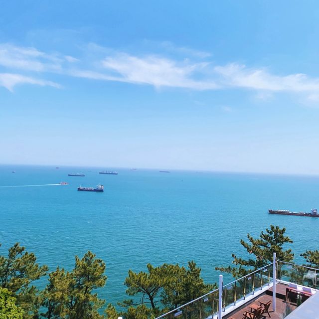 부산 현지인 추천 바다 여행! 송도! 