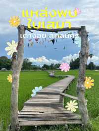 พิกัดลับใบเสมาโบราณ กลางทุ่งนา เต่างอย สกลนคร