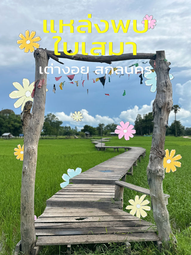 พิกัดลับใบเสมาโบราณ กลางทุ่งนา เต่างอย สกลนคร