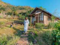 Mori Natural Farm