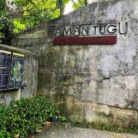 🇲🇾 Explore Urban Greenery: Discover Taman Tugu's Natural Oasis